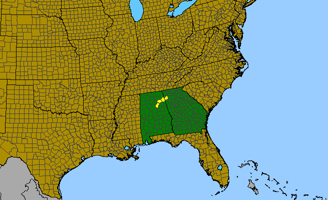 The range of Clematis socialis